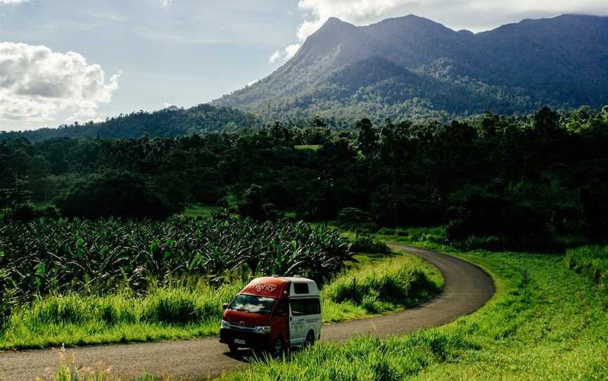 Mt. Bartle Frere, Cairns City, QLD