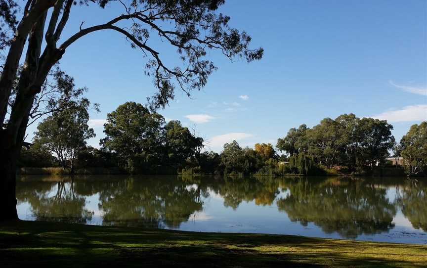 Martin Bend Reserve, Berri, SA