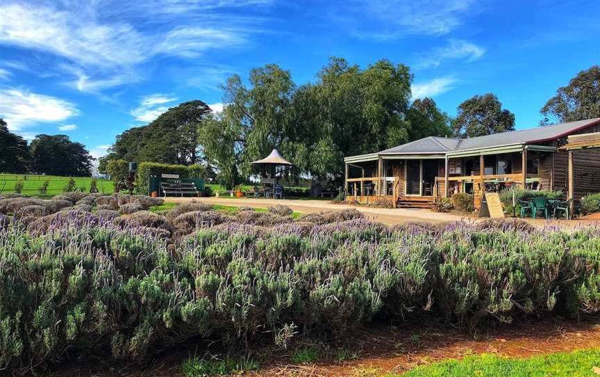 Warratina Lavender Farm, Wandin North, VIC