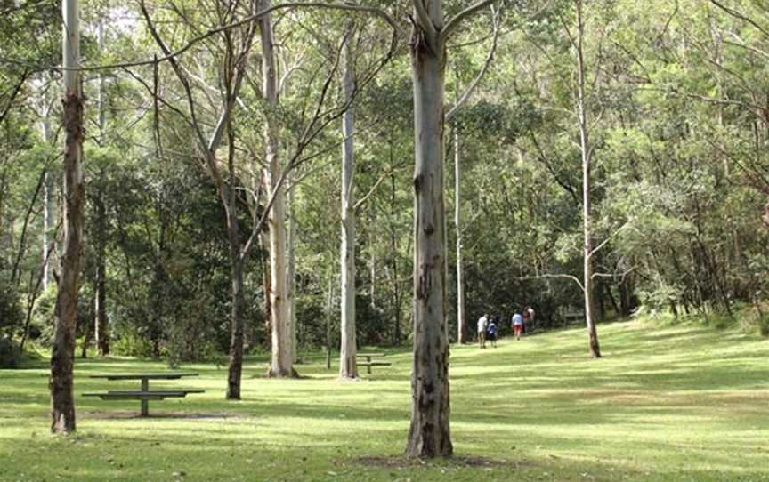 Mill Creek picnic area, Gunderman, NSW