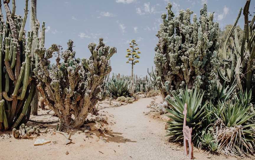 Cactus Country, Strathmerton, VIC