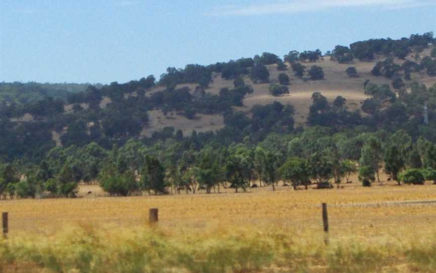 Darling Range, Mundaring, WA