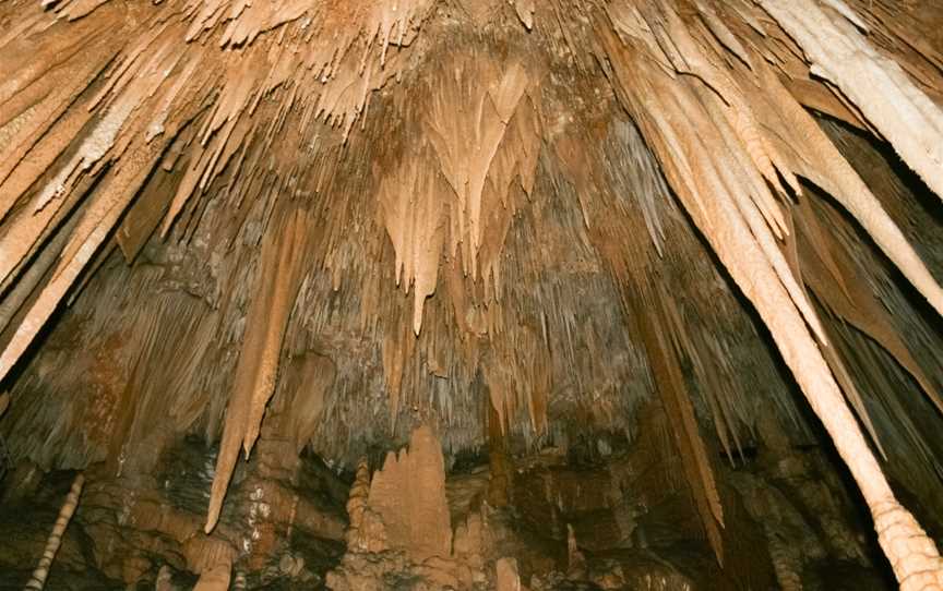 Hastings Caves and Thermal Springs, Hastings, TAS