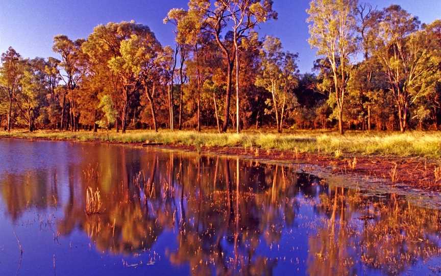 Nuga Nuga National Park, Rolleston, QLD