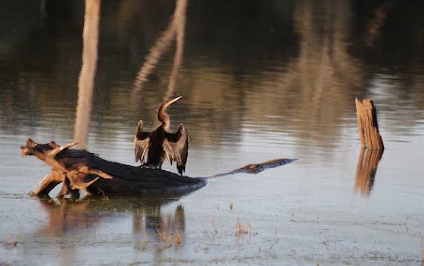 Nuga Nuga National Park, Rolleston, QLD