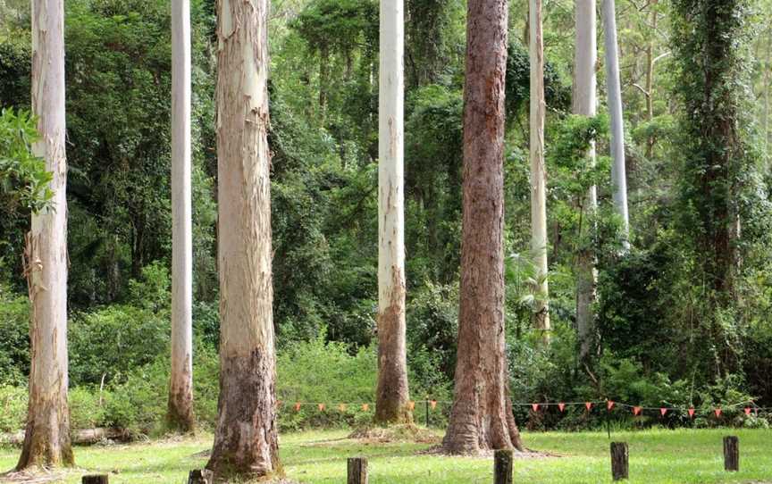 O'Sullivans Gap picnic area, Boolambayte, NSW