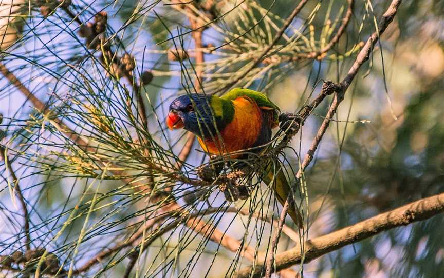 Dingo Creek Park, Wondai, QLD