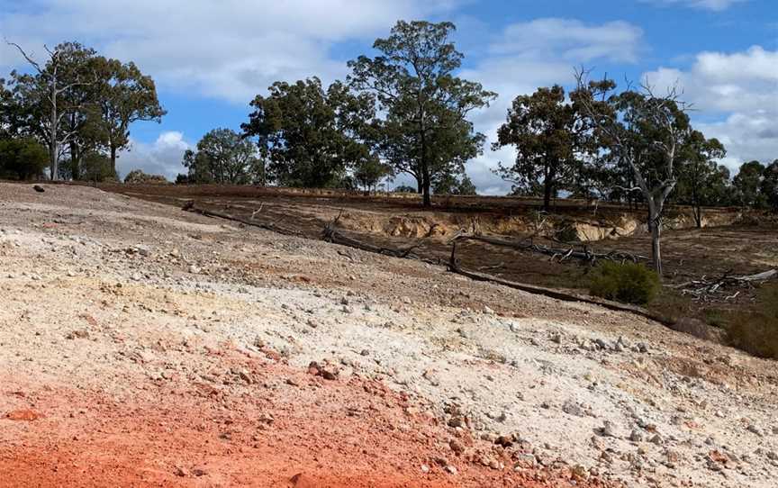 Burning Mountain Nature Reserve, Wingen, NSW