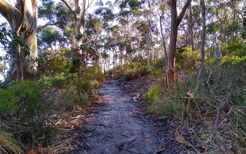 South Bruny National Park, Bruny Island, TAS