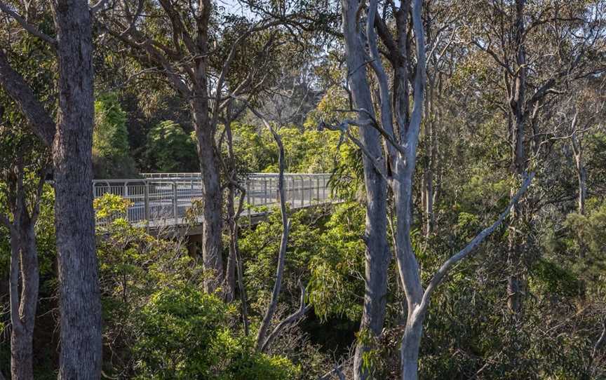 Lake Street Shared Path, Merimbula, NSW