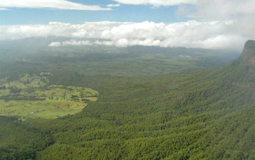 Border Ranges National Park, Cougal, NSW