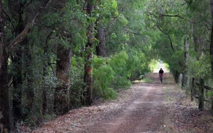 Wadandi Track, Margaret River, Cowaramup, WA