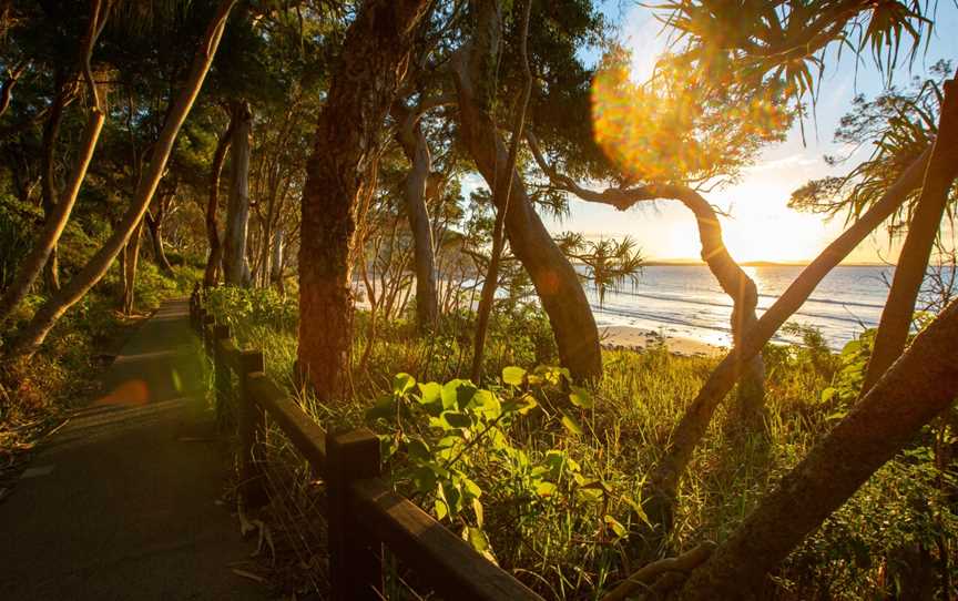 Noosa National Park, Noosa Heads, QLD