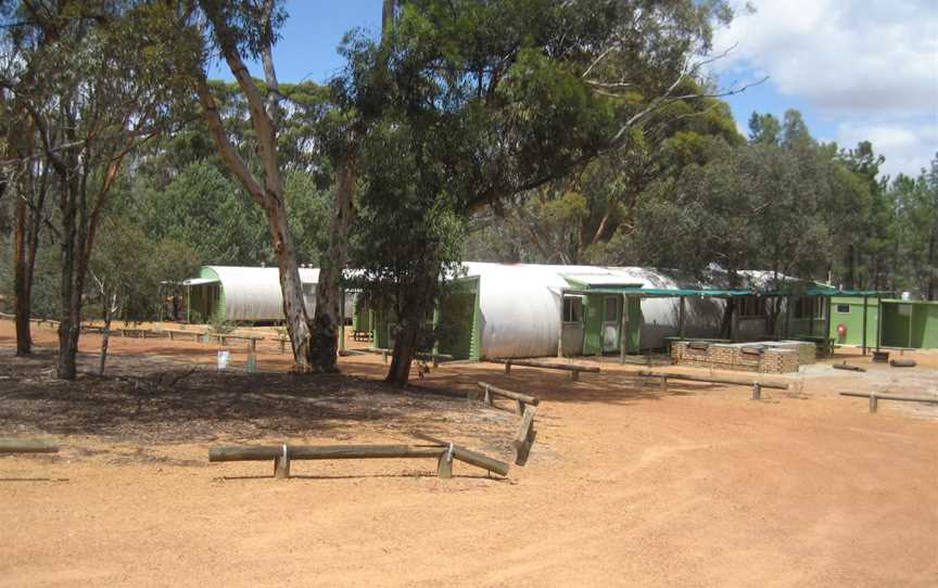 Dryandra Woodland National Park, Narrogin, WA