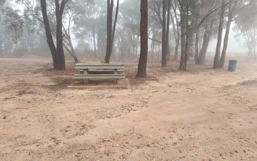 Migurra Reserve, Cootamundra, NSW