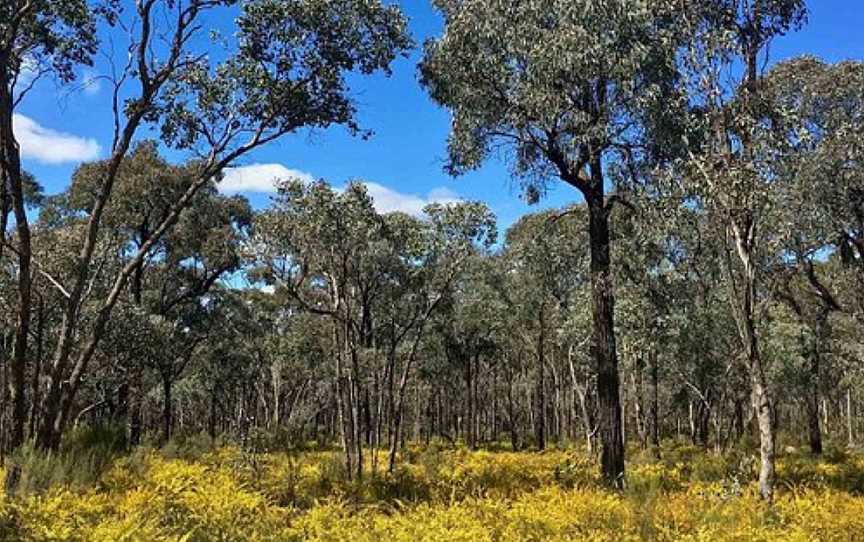 Greater Bendigo National Park, Eaglehawk North, VIC