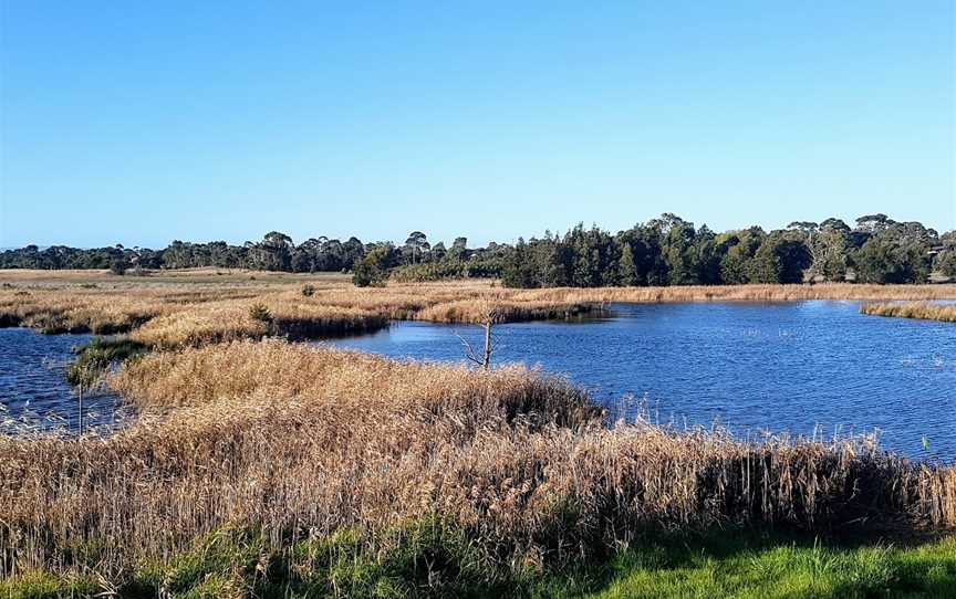 Edithvale-Seaford Wetlands, Seaford, VIC