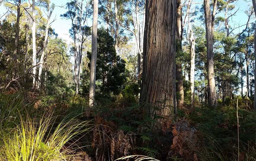 Sykes Sanctuary, Railton, TAS