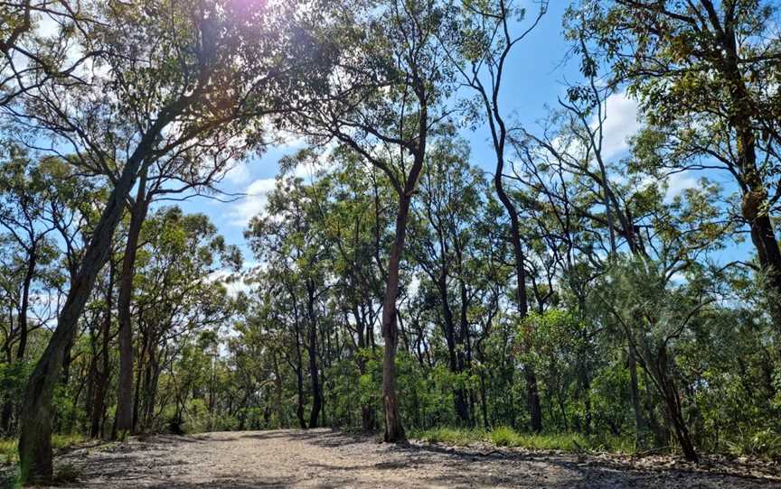 Seven Hills Bushland Reserve, Seven Hills, QLD