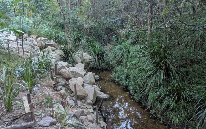 Seven Hills Bushland Reserve, Seven Hills, QLD