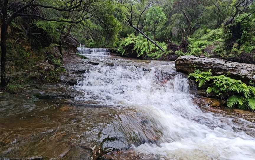 Wentworth Falls, Wentworth Falls, NSW