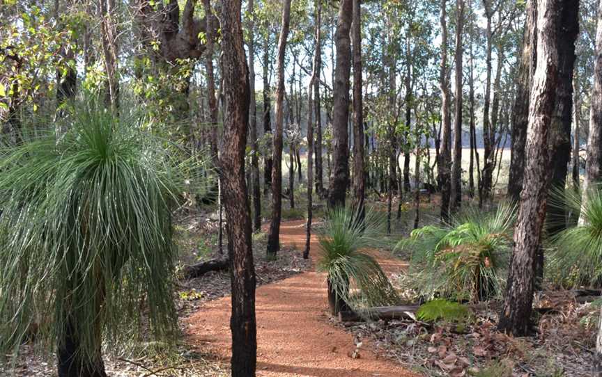 Potters Gorge Campground