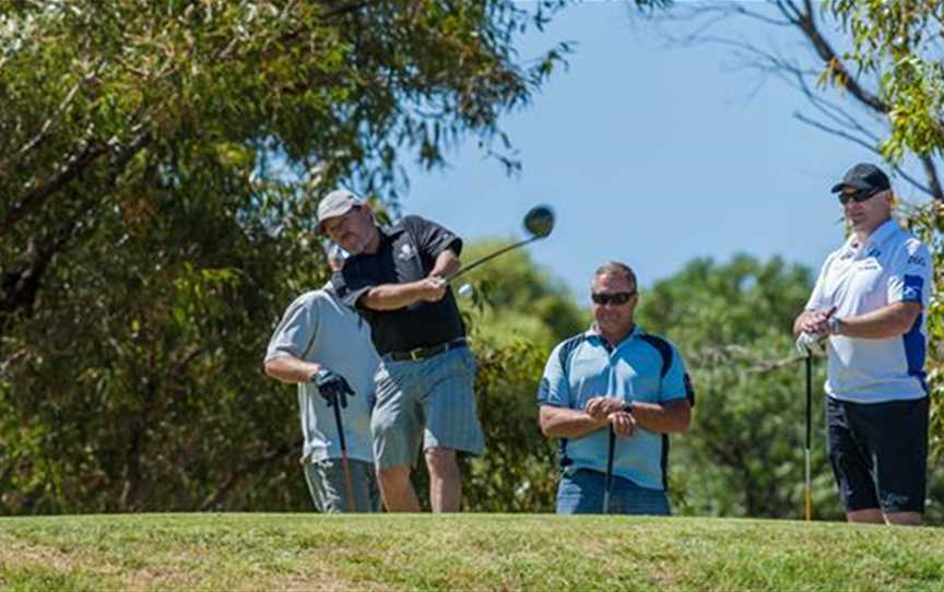 Dongara Golf Club, Clubs & Classes in Port Denison