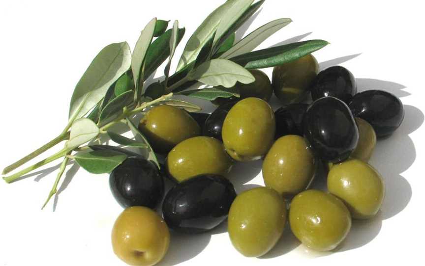 Dinninup Grove Olives, Food & Drink in Boyup Brook