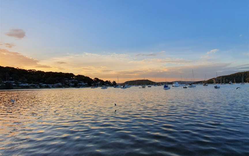 The Lucky Bee, Hardys Bay, NSW