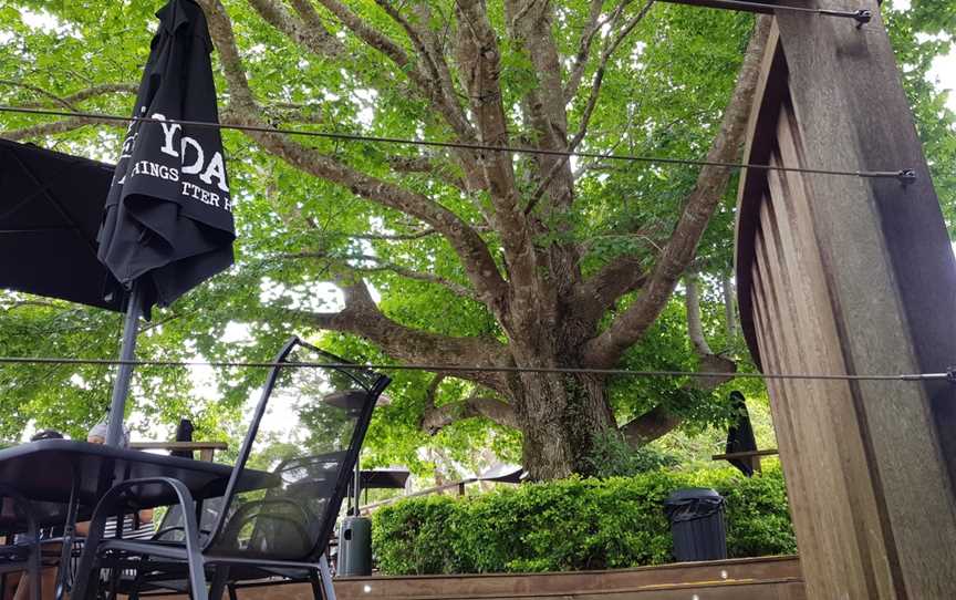 The Monkey Tree Bar & Restaurant, Tamborine Mountain, QLD