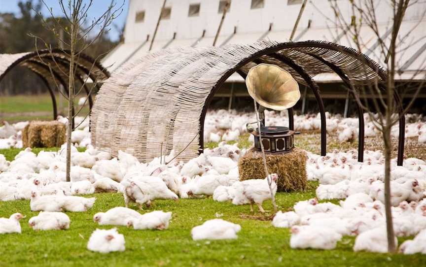 Mt Barker Free Range Chicken, Food & Drink in Mount Barker