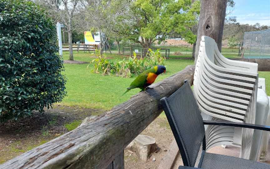 Warnies Cafe, Warnervale, NSW