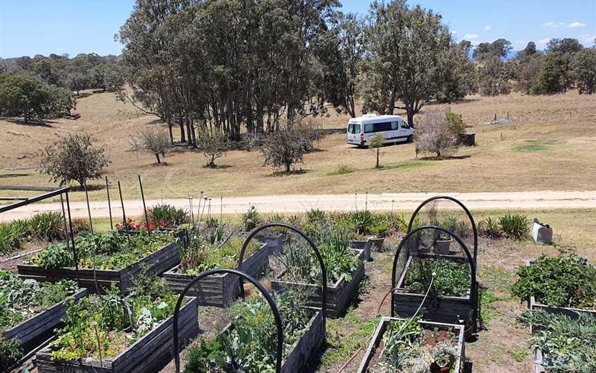 Aloomba Lavender, Stanthorpe, NSW