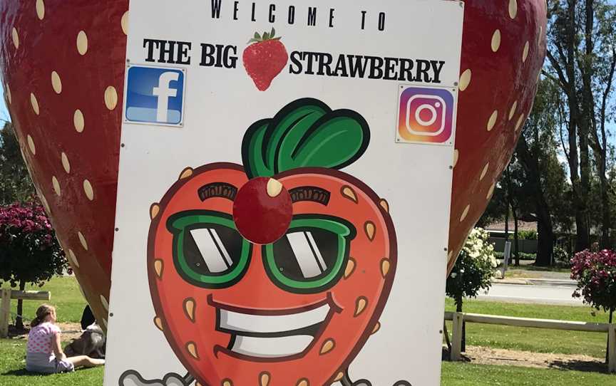 The Big Strawberry, Koonoomoo, VIC