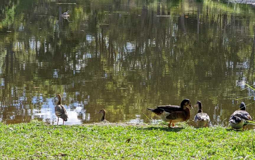 The Place 2 B, Delaneys Creek, QLD