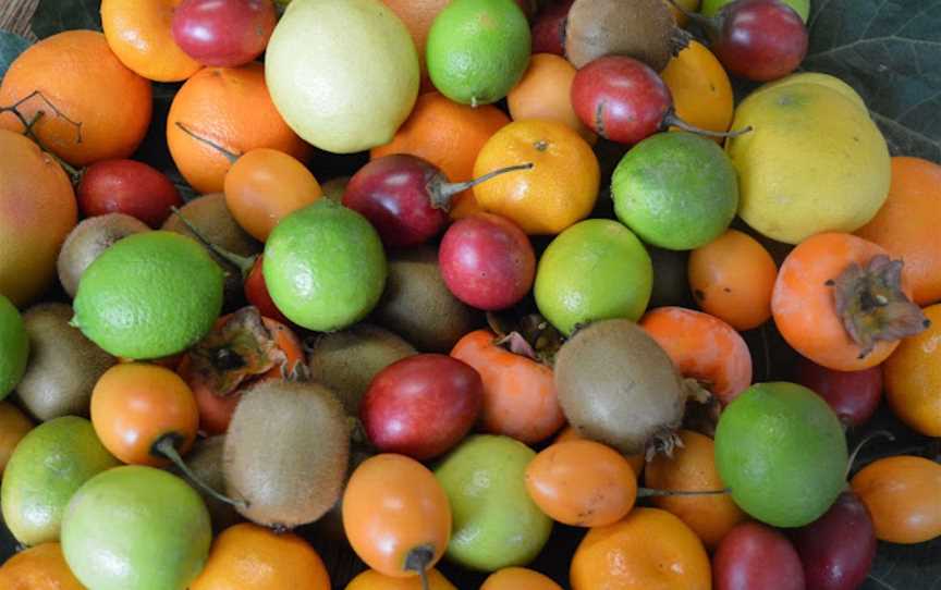 Rayners Orchard, Woori Yallock, VIC