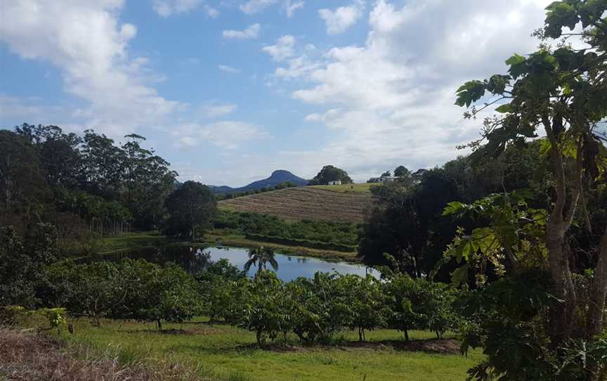 McMartins Farm, Bli Bli, QLD