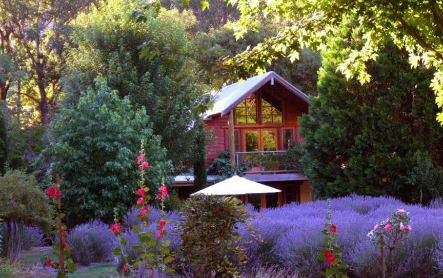 Lavender Hue Farm B&B, and Tea Rooms, Harrietville, VIC