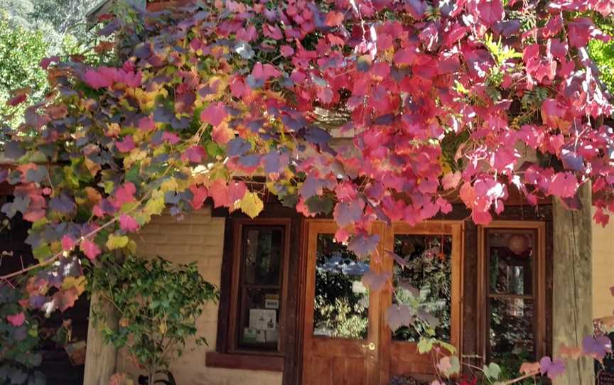 Lavender Hue Farm B&B, and Tea Rooms, Harrietville, VIC