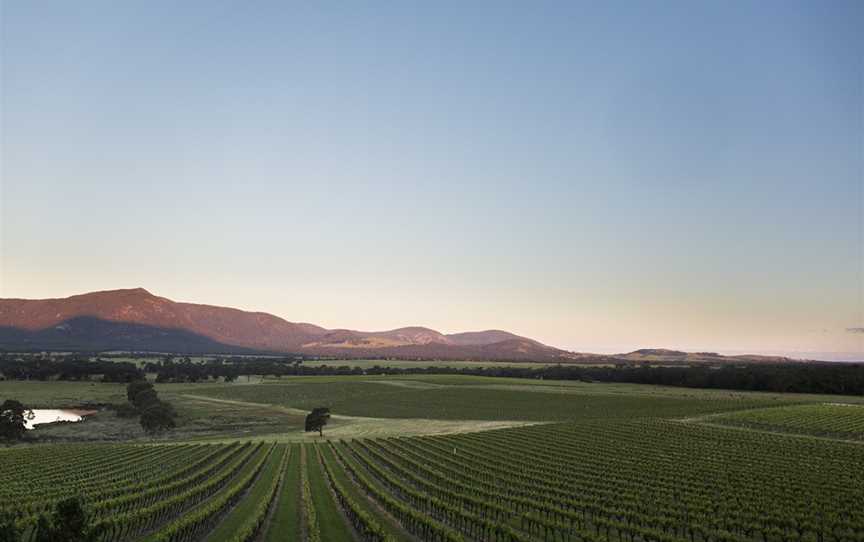 Mount Langi Ghiran Vineyard, Bayindeen, VIC