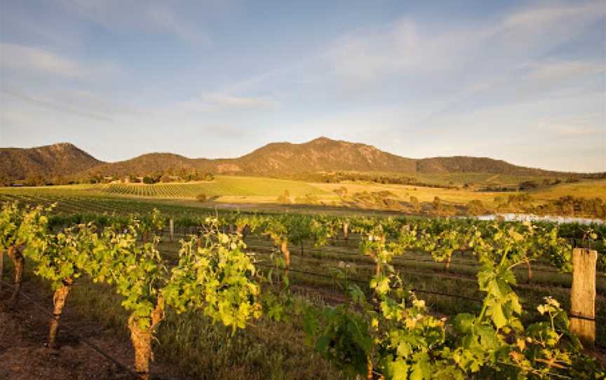 Mount Langi Ghiran Vineyard, Bayindeen, VIC