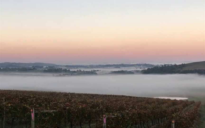 Helen & Joey Estate - Best Wineries Yarra Valley, Gruyere, Gruyere, VIC