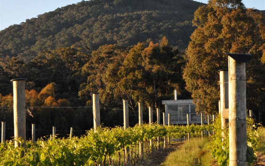 Mount Towrong Vineyard, Mount Macedon, VIC