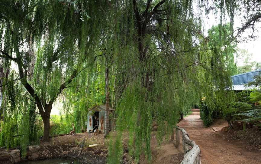 Brookside Vineyard, Bickley, WA