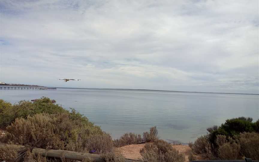 Ceduna Bakery Coffee Lounge, Ceduna, SA