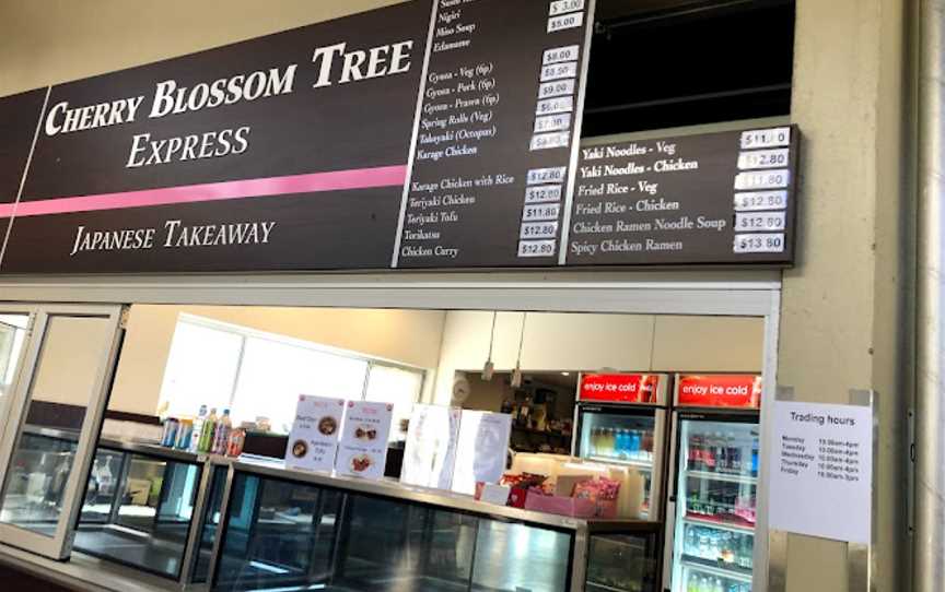 Cherry Blossom Tree, Sippy Downs, QLD