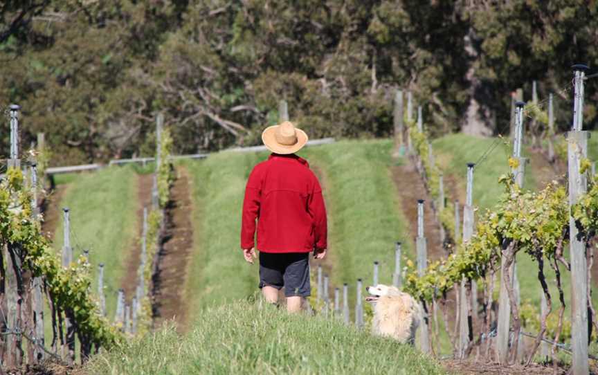 Green Door Wines, Henty, WA