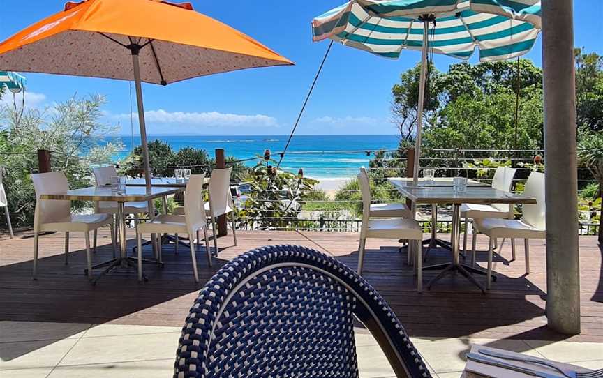 Manta Ray, Point Lookout, QLD