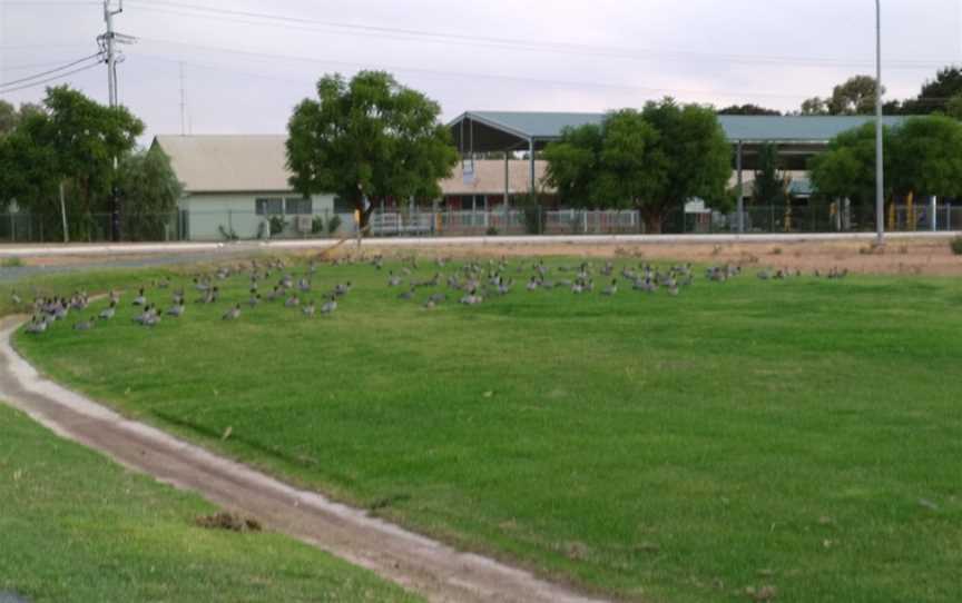 Murray terrace cafe, Euston, NSW