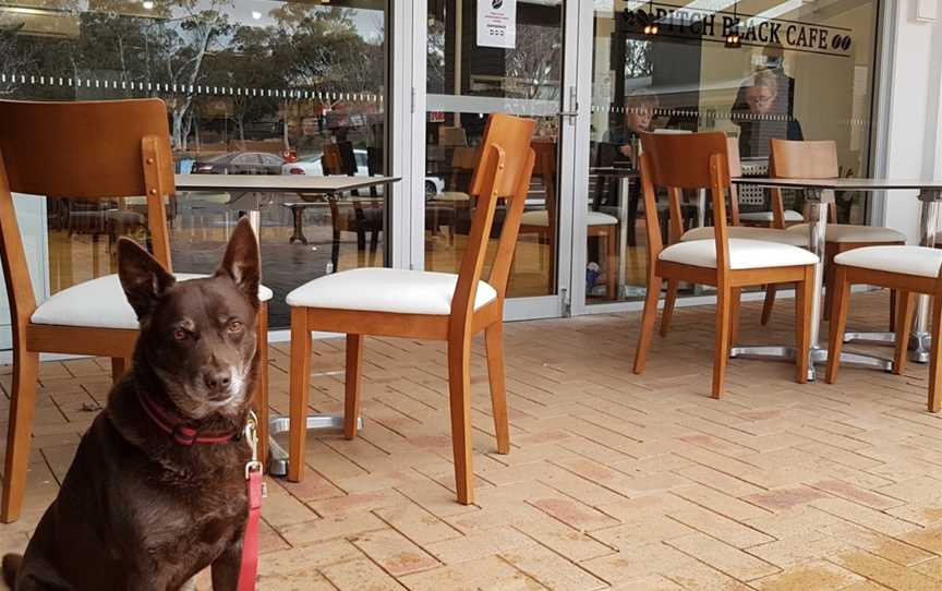 Pitch Black Cafe, Rivett, ACT